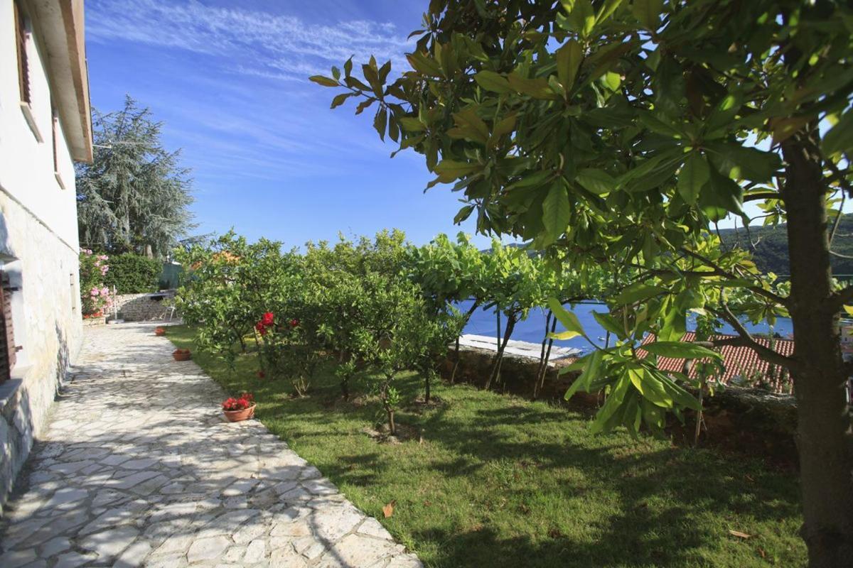 Apartments Magnolia Rabac Dış mekan fotoğraf